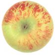 Cox Orange Pippin Apple