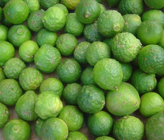 Kaffir Limes