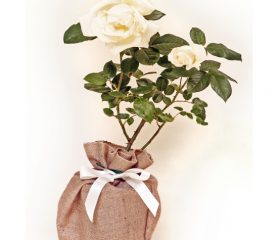 Silver Wedding Rose - Gift