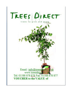 Trees Direct Voucher
