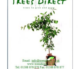 Trees Direct Voucher