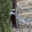 Cupressus sempervirens