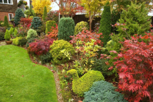 a multi-coloured garden scene