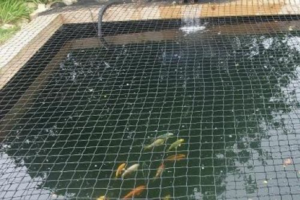 an image of pond netting over a fish pond