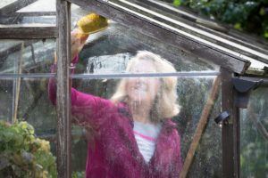 image of a woman cleaning the inside of her green house with a sponge
