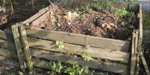 compost heap in a wooden box