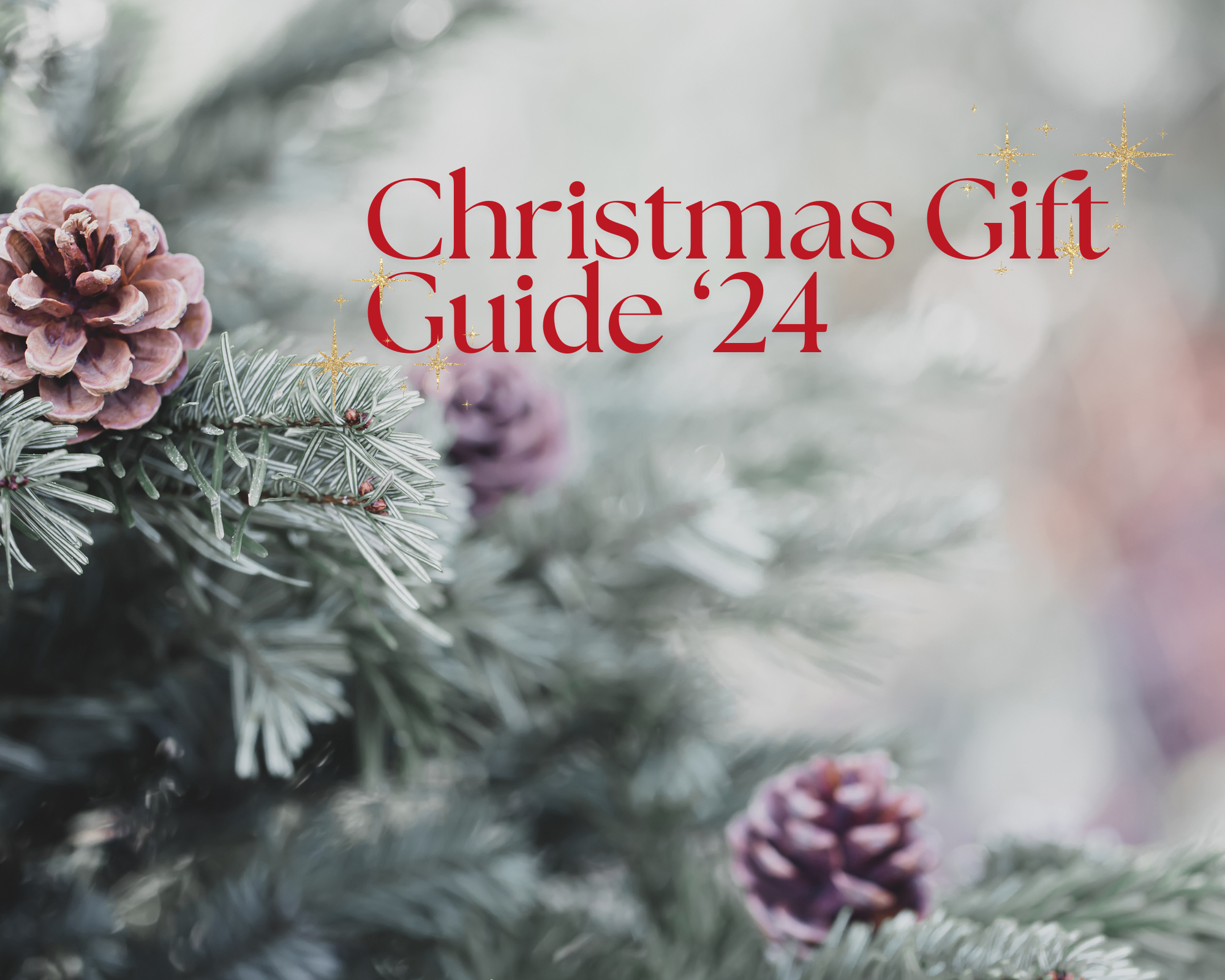 Christmas Gift Guide 2024