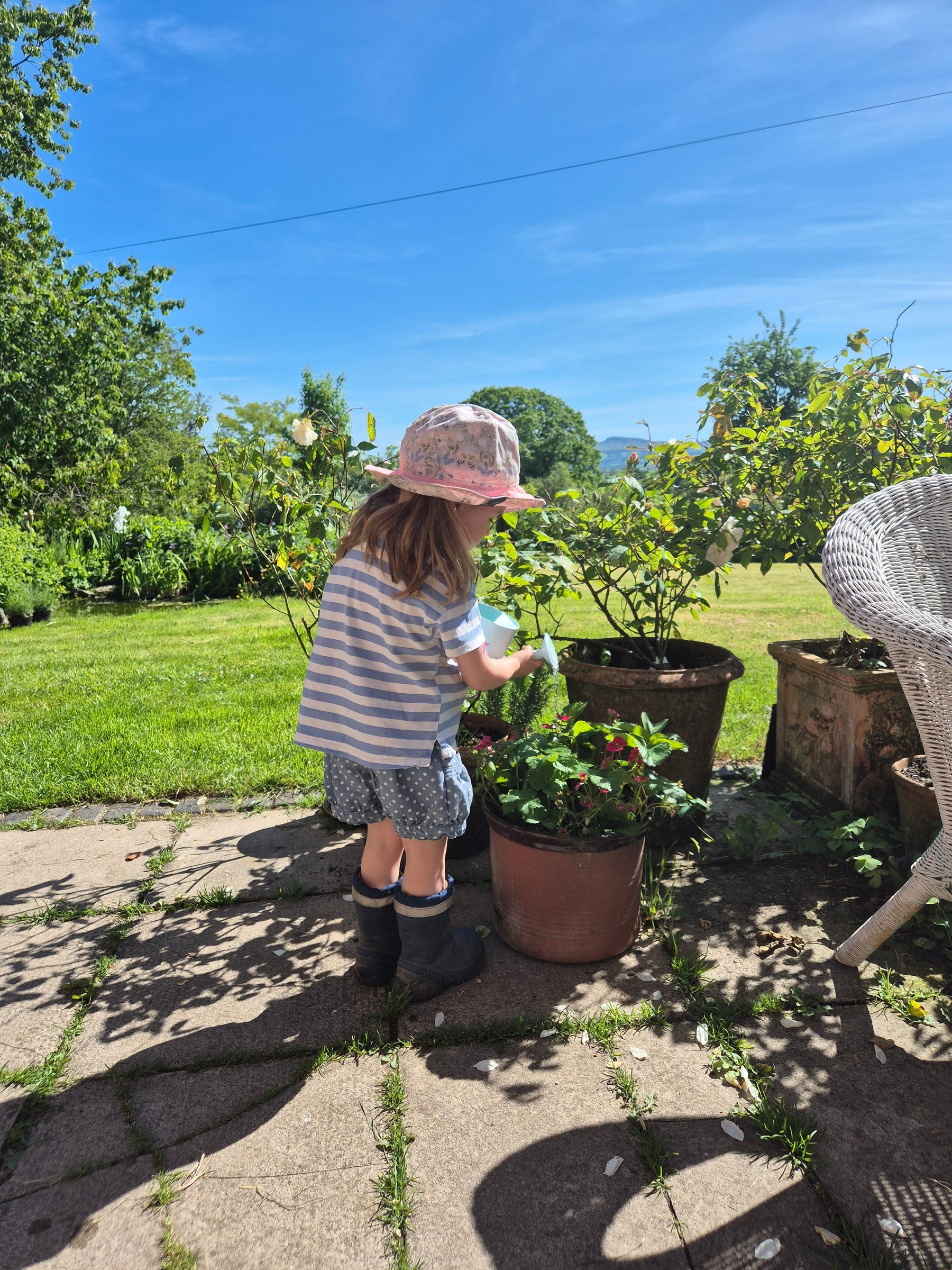 Looking After Your Trees in a Heatwave (and a Little Look Ahead to September)
