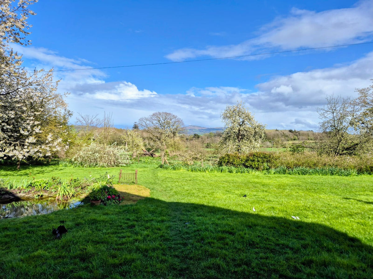 A Little Winter Magic: Keeping Your Garden Colourful All Year