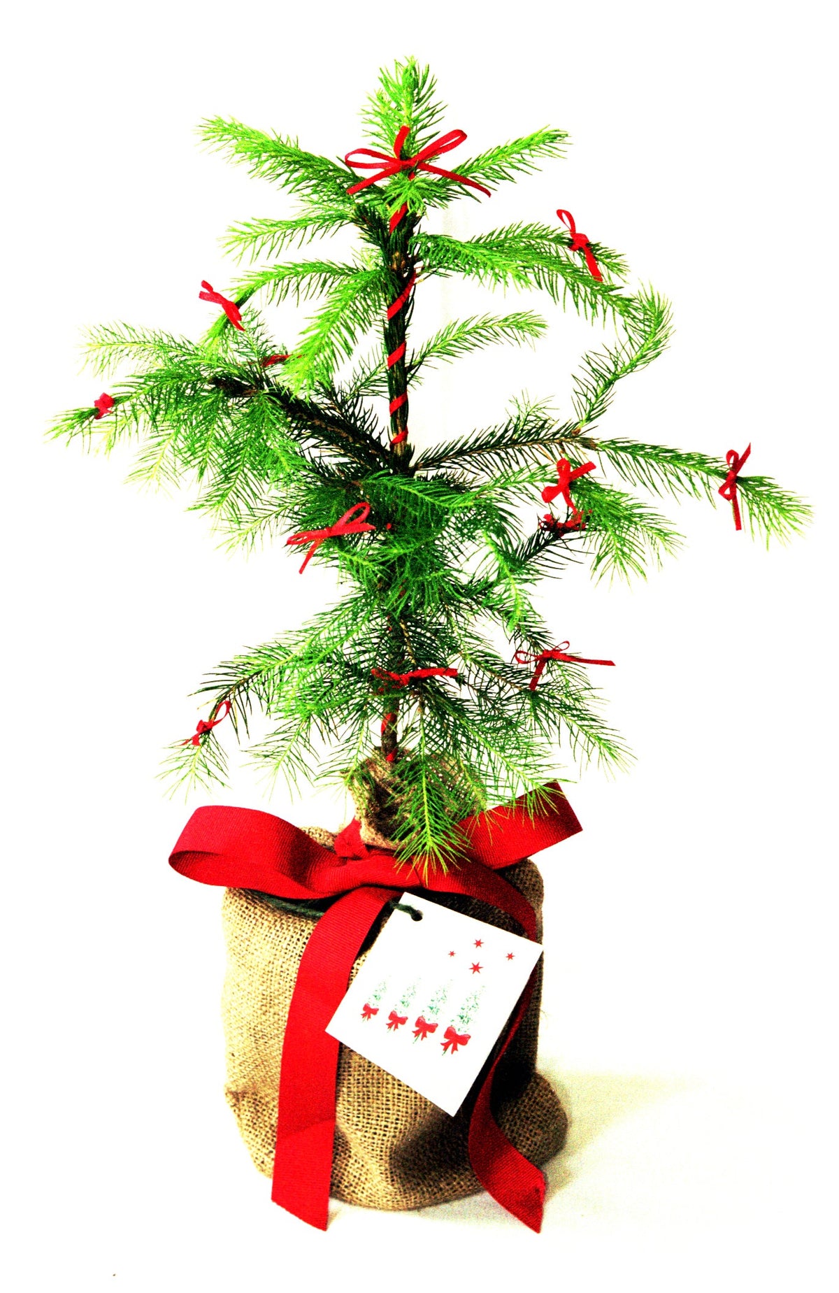 Christmas Gifts