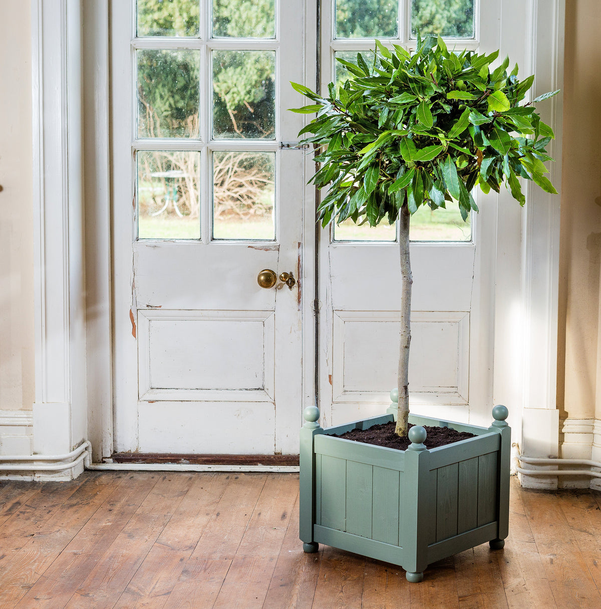 Patio & Small Spaces