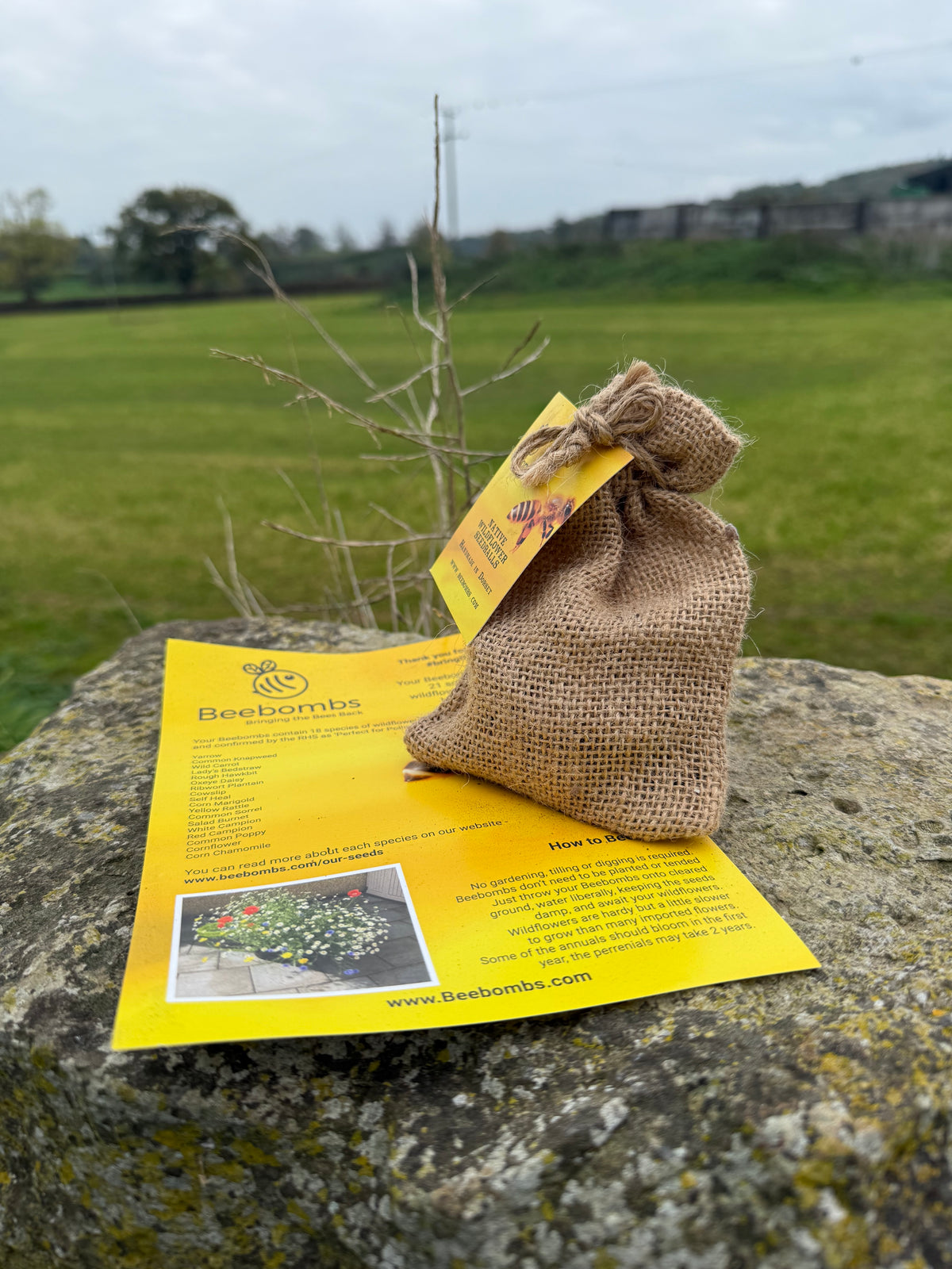 Wildlife BeeBombs