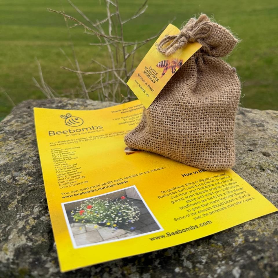 WhatsApp-Image-2025-10-28-at-15.00.32-1-e1761663997389.jpeg Beebombs - Image 1